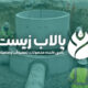 منهول بتنی